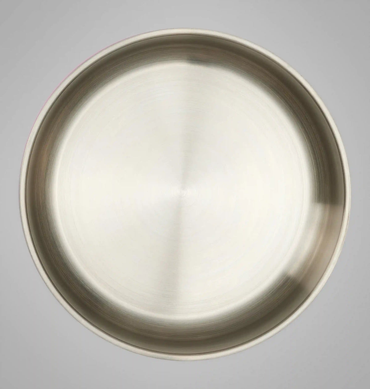 Stainless Steel Double Wall Dog Bowl - Large