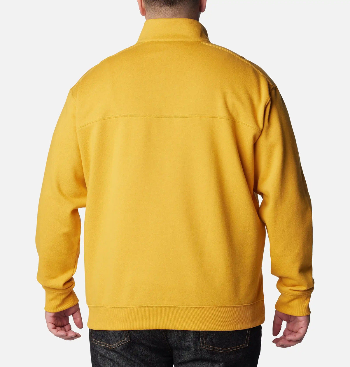 Men's Hart Mountain II Half Zip - Big