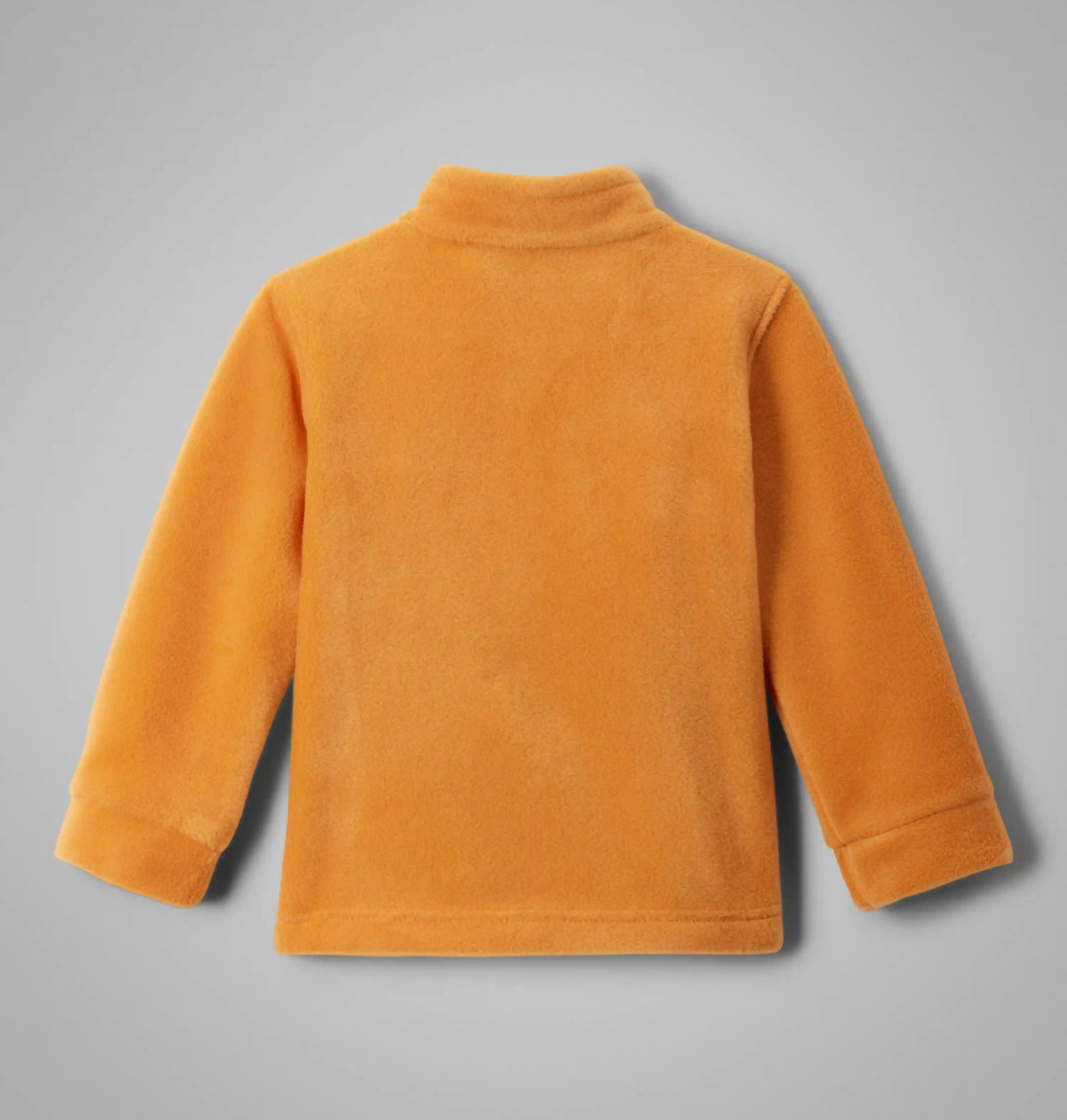 Boys' Toddler Steens Mountain II Fleece Jacket