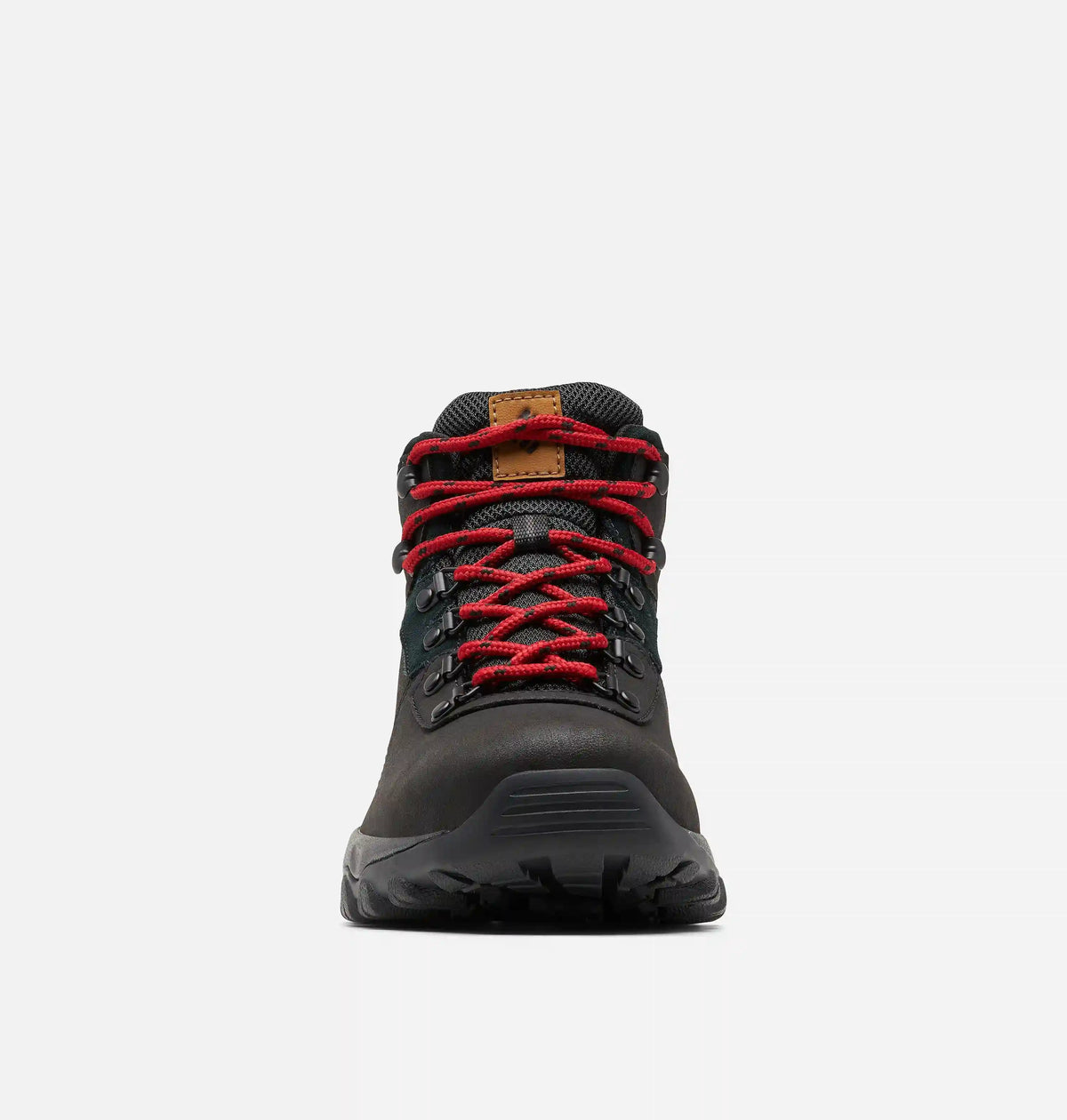 Men’s Newton Ridge Plus II Waterproof Hiking Boot - Wide