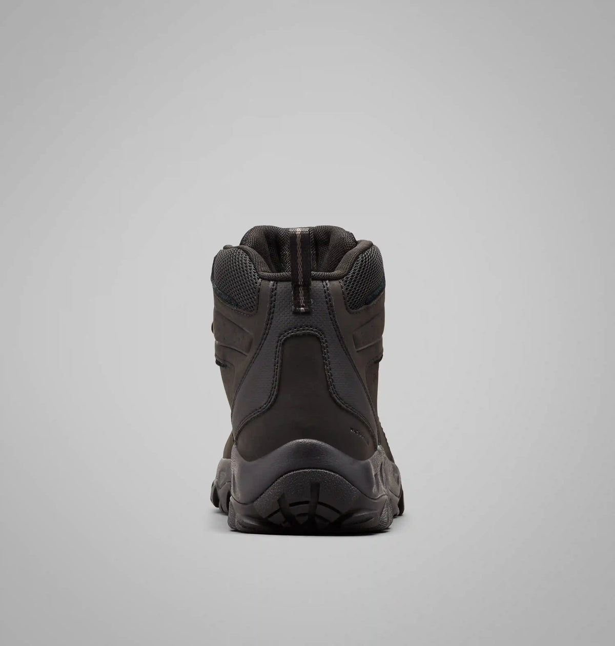 Men’s Newton Ridge Plus II Waterproof Hiking Boot