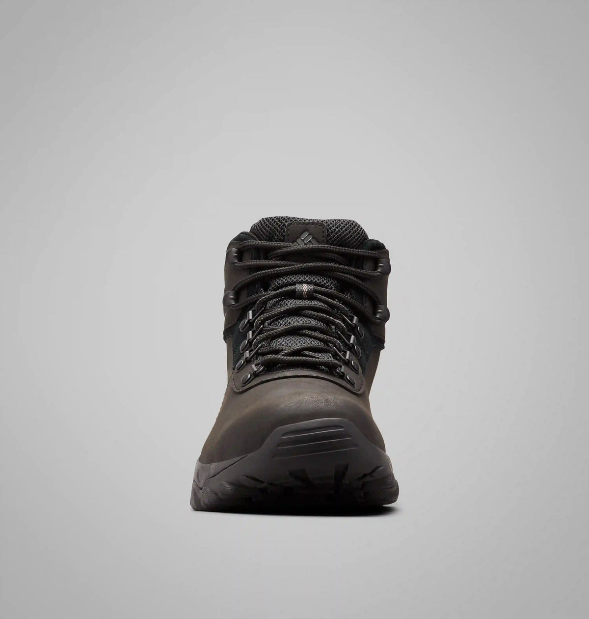 Men’s Newton Ridge Plus II Waterproof Hiking Boot