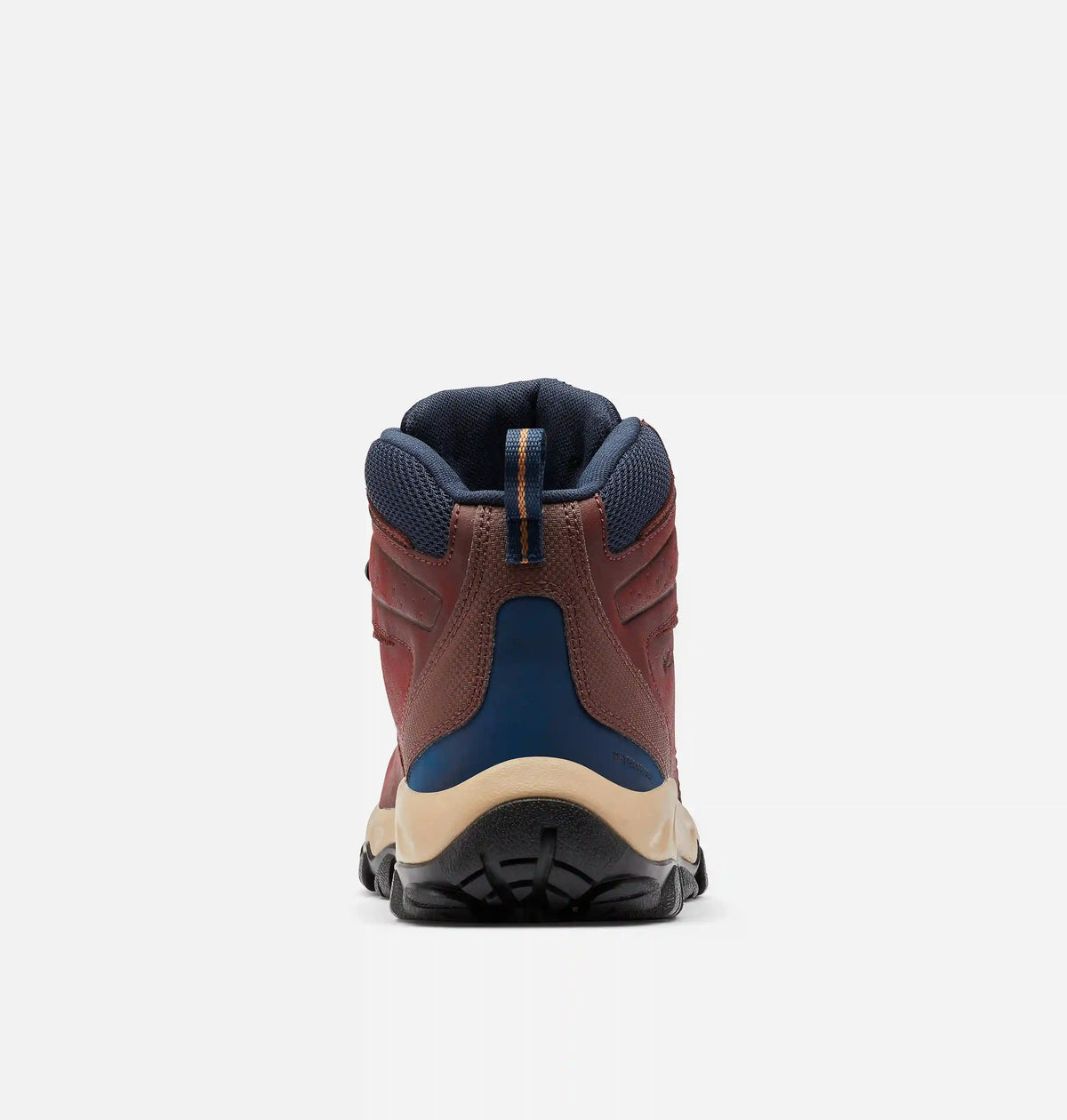 Men’s Newton Ridge Plus II Waterproof Hiking Boot