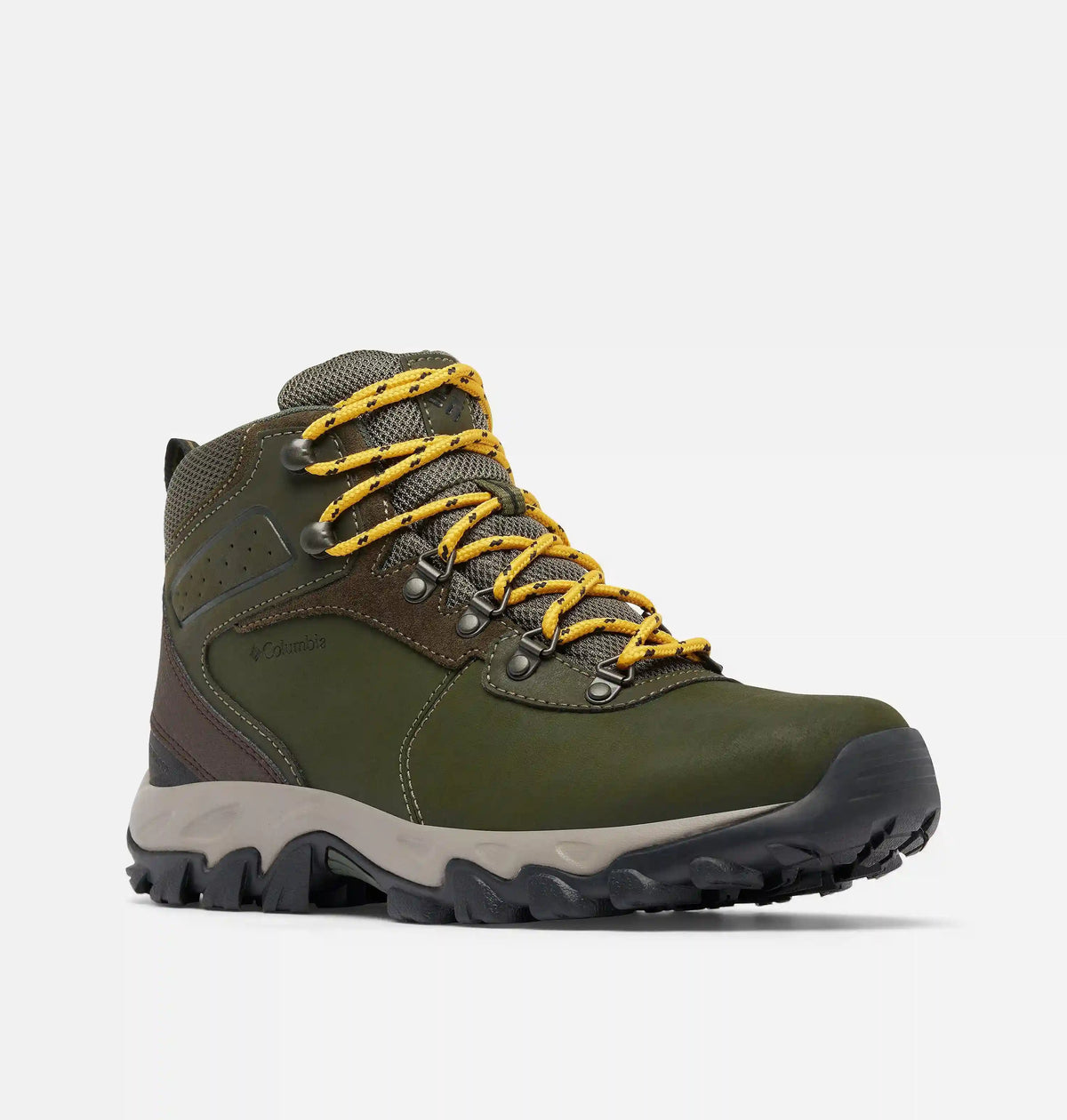 Men’s Newton Ridge Plus II Waterproof Hiking Boot