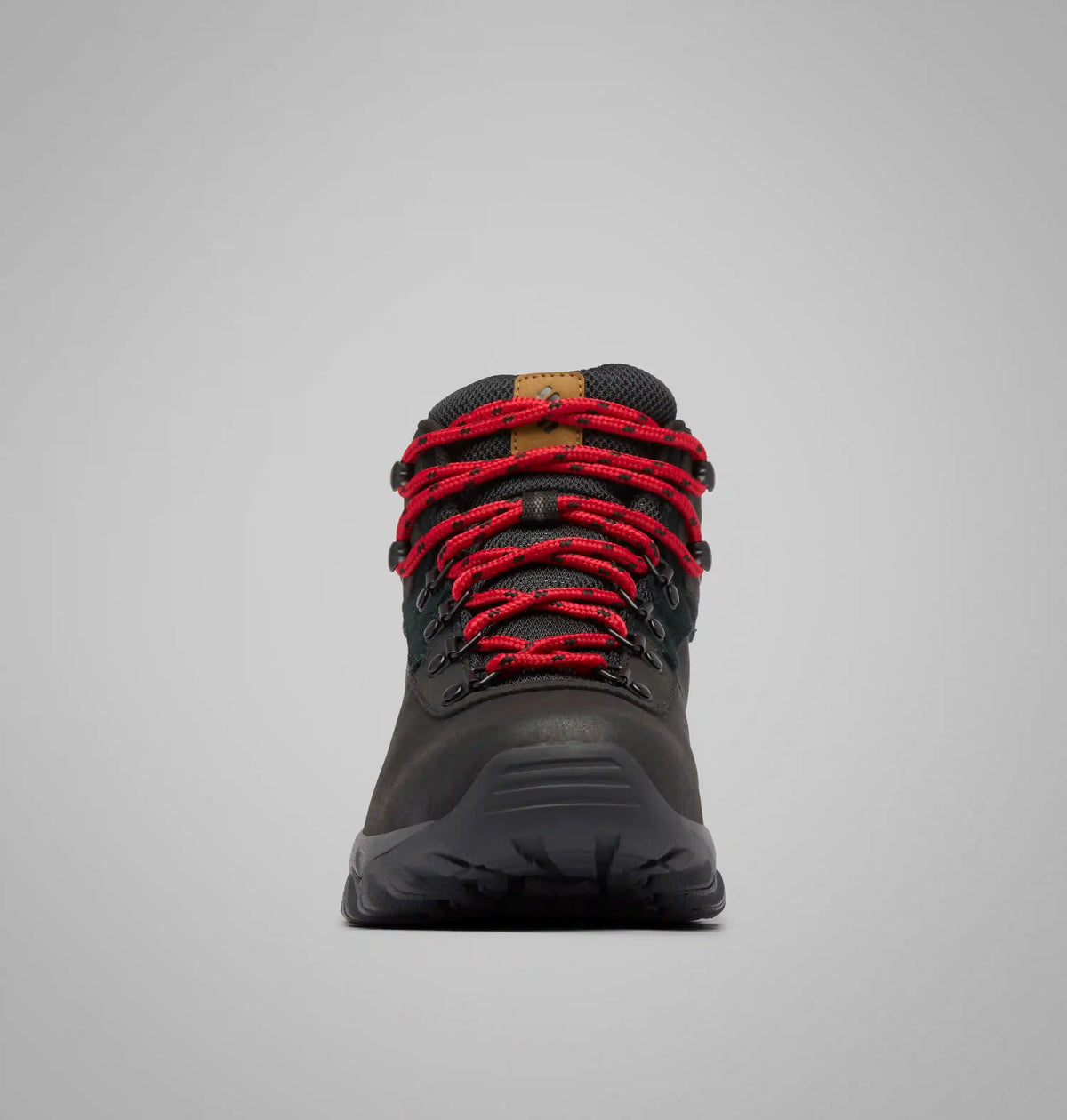 Men’s Newton Ridge Plus II Waterproof Hiking Boot - Wide