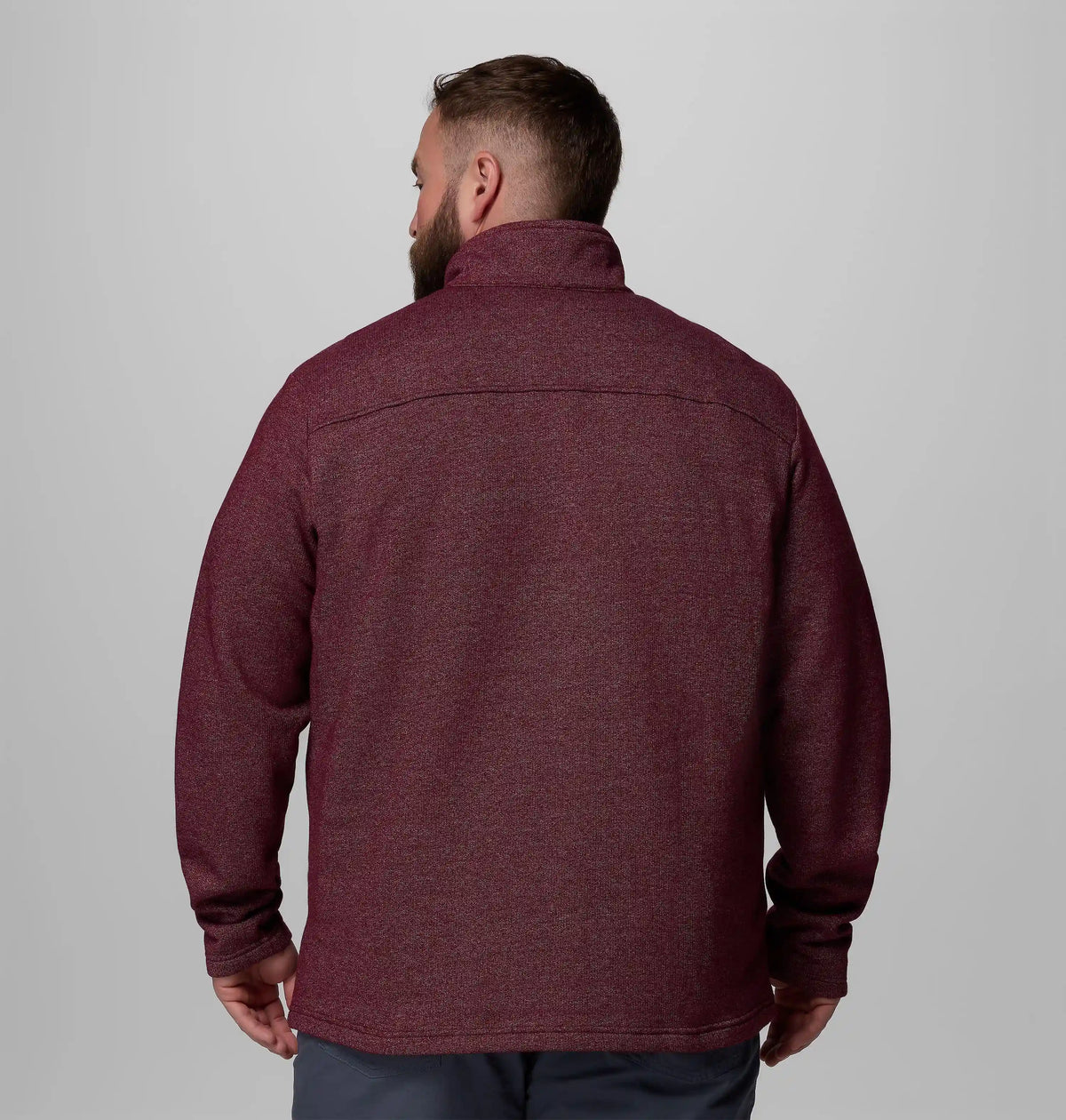 Men's Great Hart Mountain III Half Zip - Big