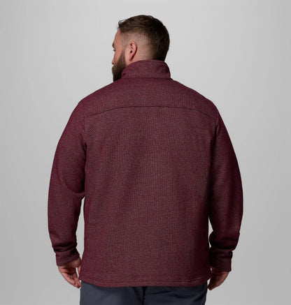 Men's Great Hart Mountain III Half Zip - Big