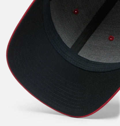 PFG Logo Mesh Snapback