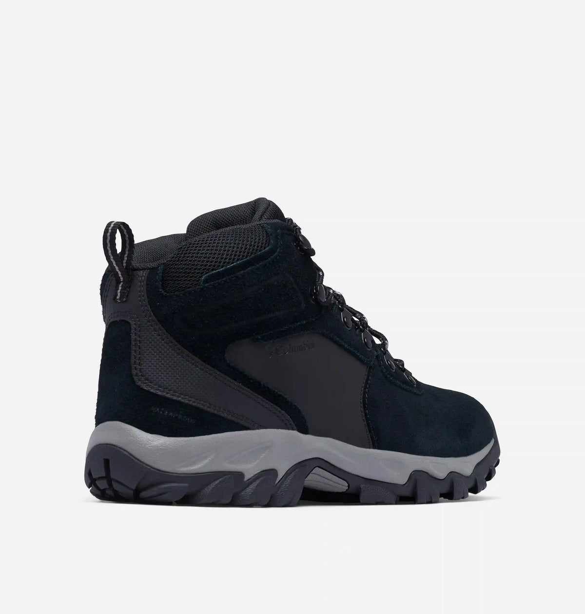 Men's Newton Ridge Plus II Suede Waterproof Hiking Boot