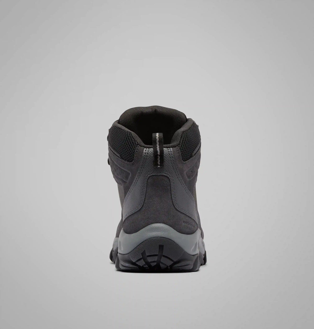 Men's Newton Ridge Plus II Suede Waterproof Hiking Boot
