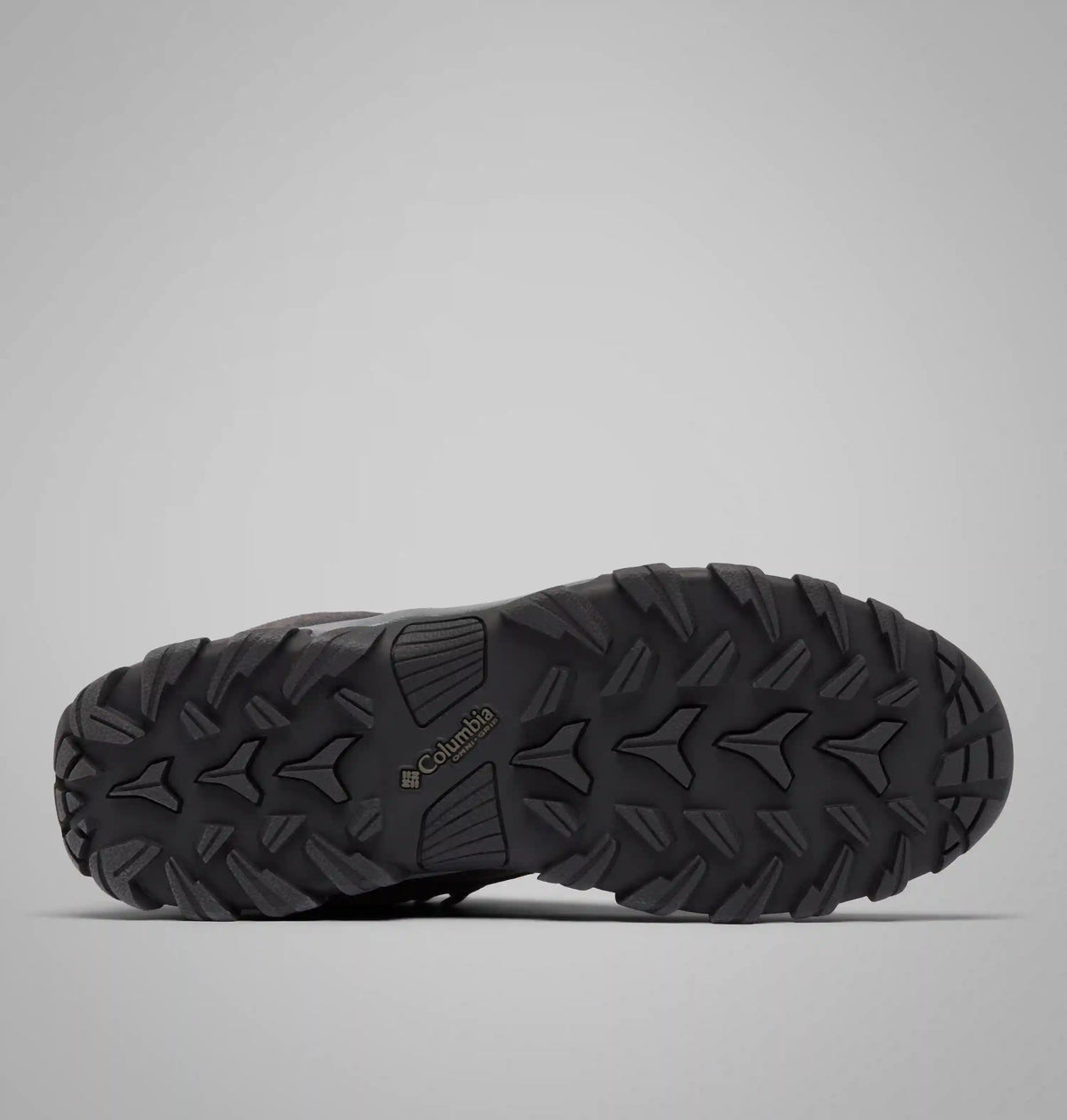 Men's Newton Ridge Plus II Suede Waterproof Hiking Boot