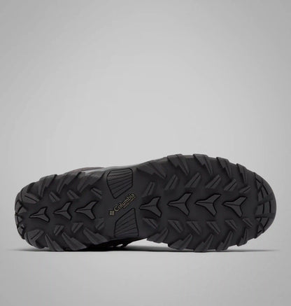 Men's Newton Ridge Plus II Suede Waterproof Hiking Boot