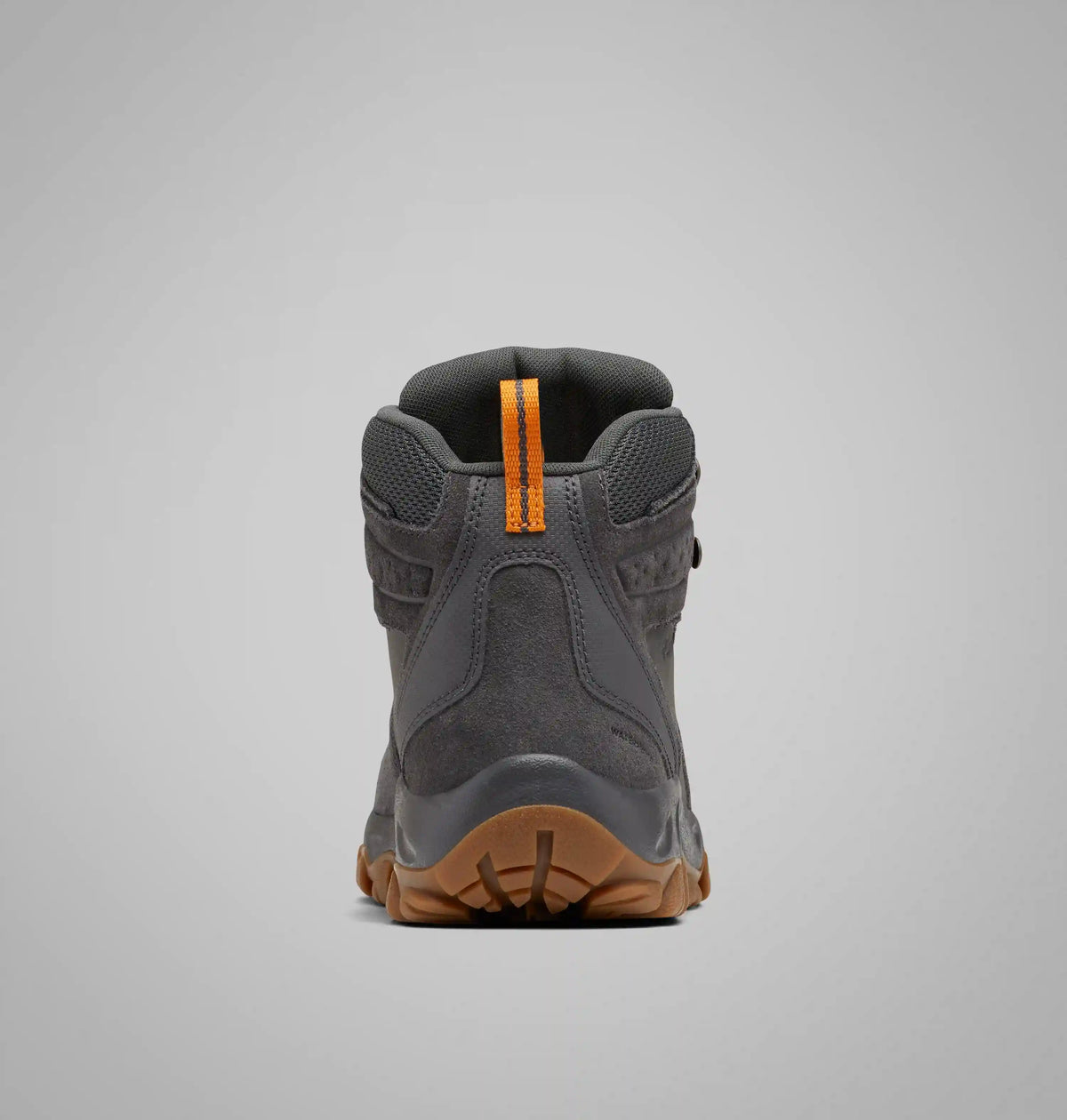 Men's Newton Ridge Plus II Suede Waterproof Hiking Boot
