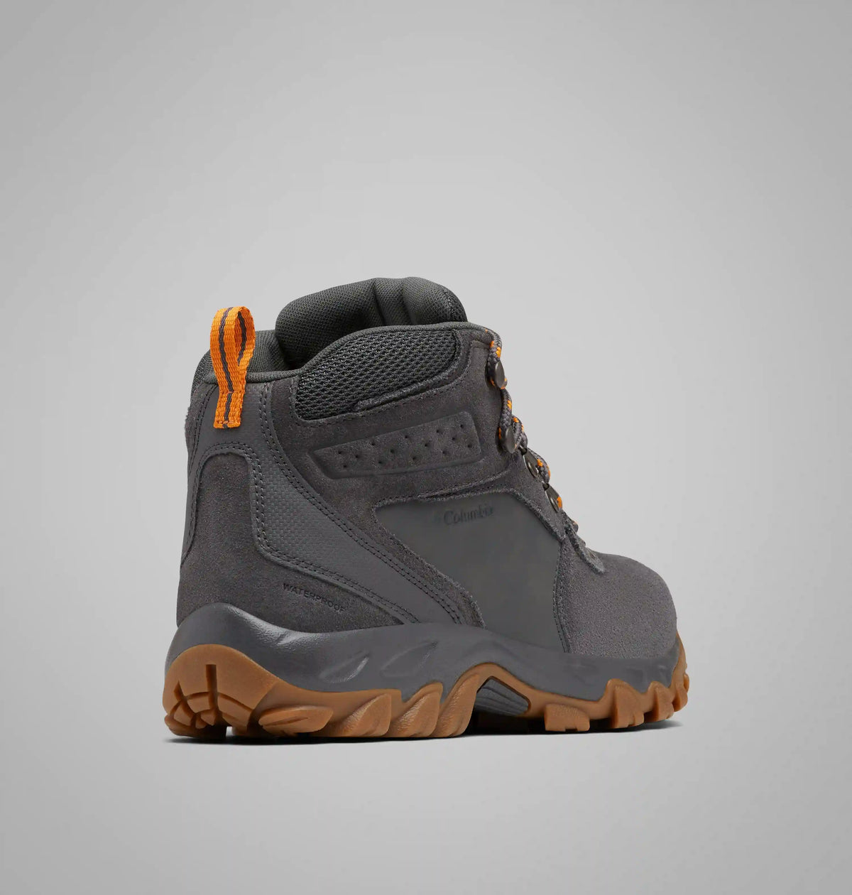 Men's Newton Ridge Plus II Suede Waterproof Hiking Boot