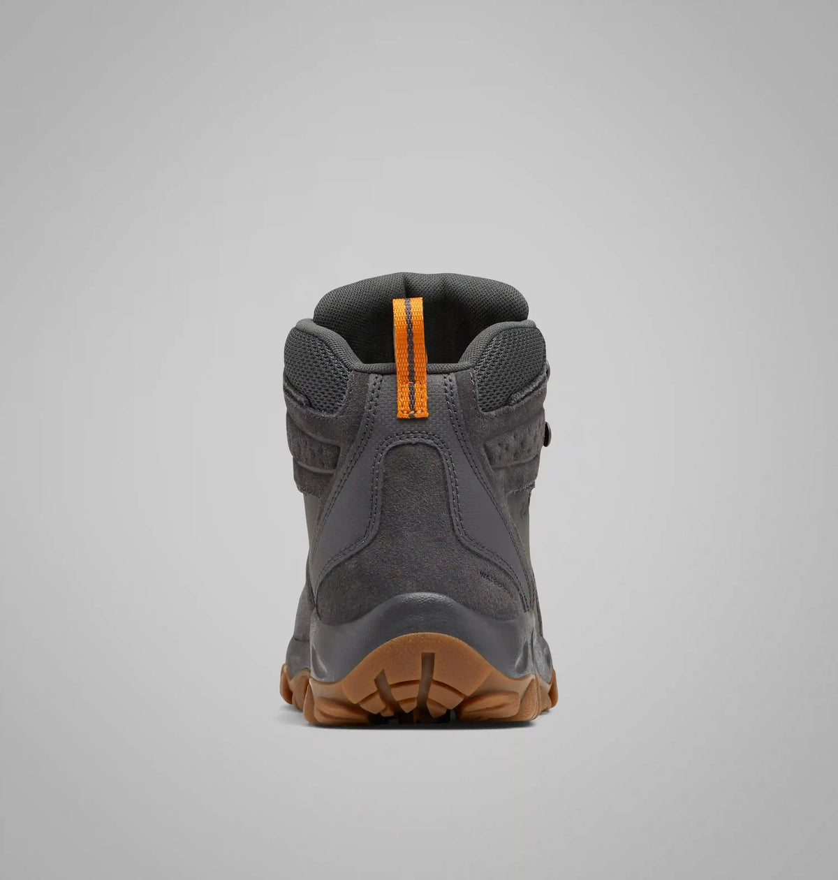 Men's Newton Ridge Plus II Suede Waterproof Hiking Boot