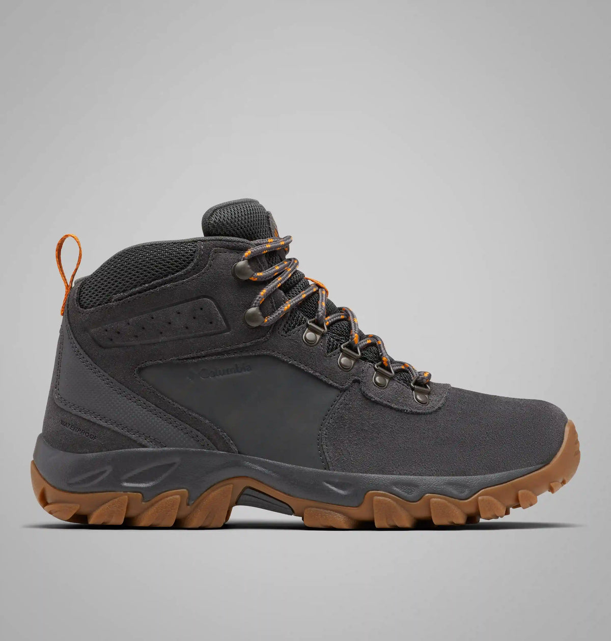 Men's Newton Ridge Plus II Suede Waterproof Hiking Boot