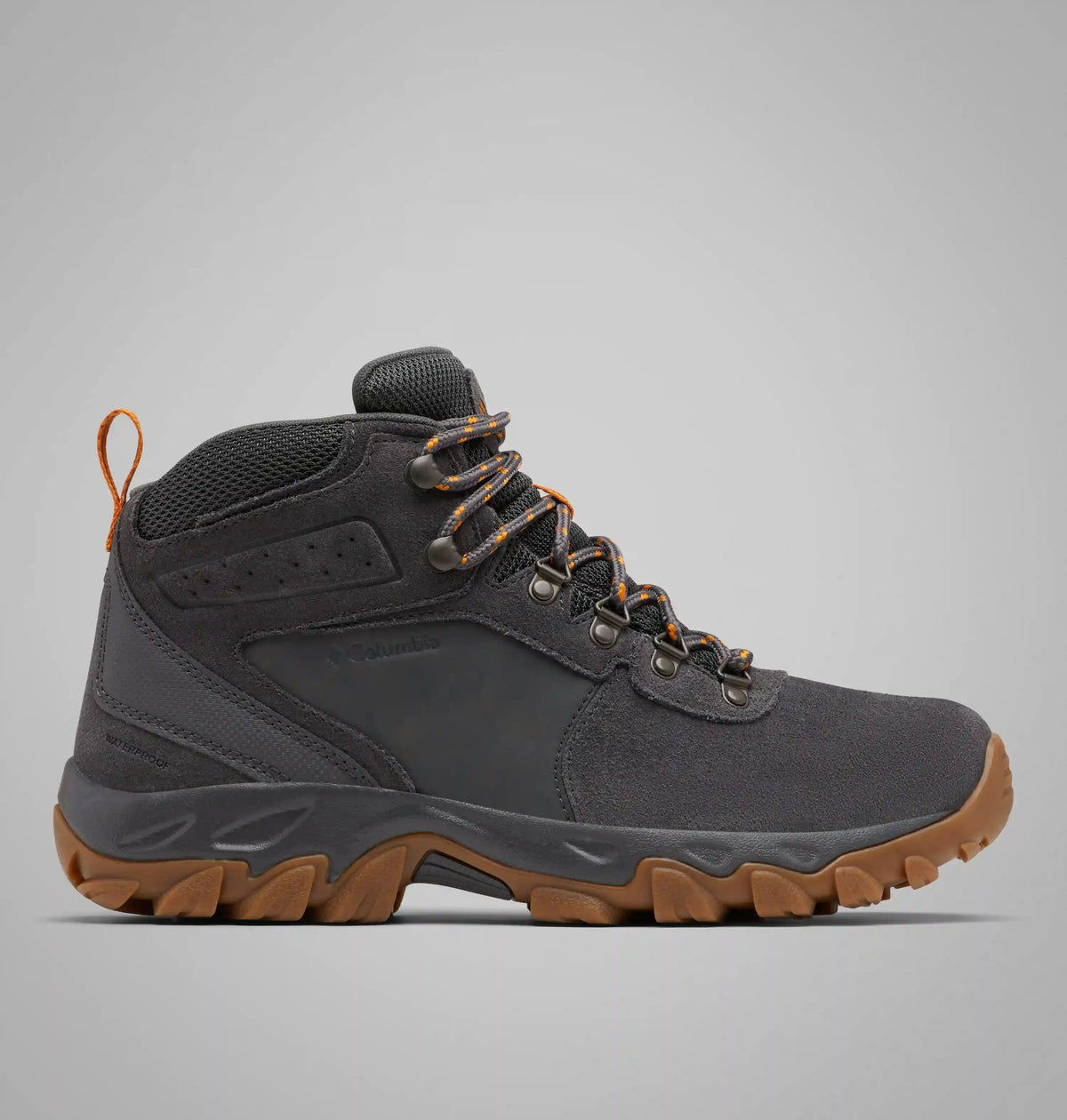 Men's Newton Ridge Plus II Suede Waterproof Hiking Boot