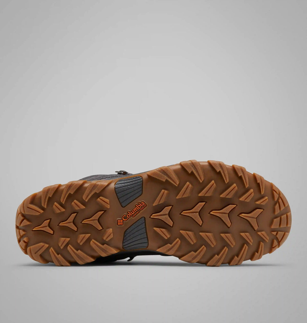Men's Newton Ridge Plus II Suede Waterproof Hiking Boot