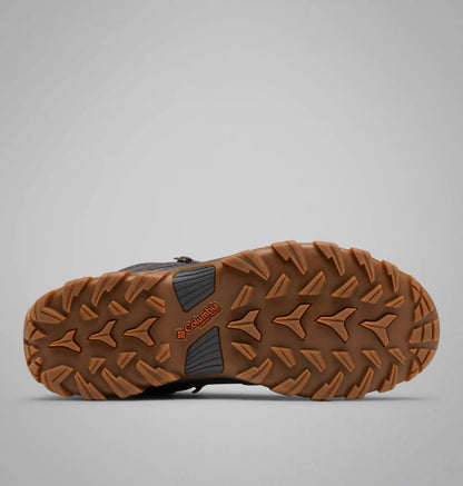 Men's Newton Ridge Plus II Suede Waterproof Hiking Boot