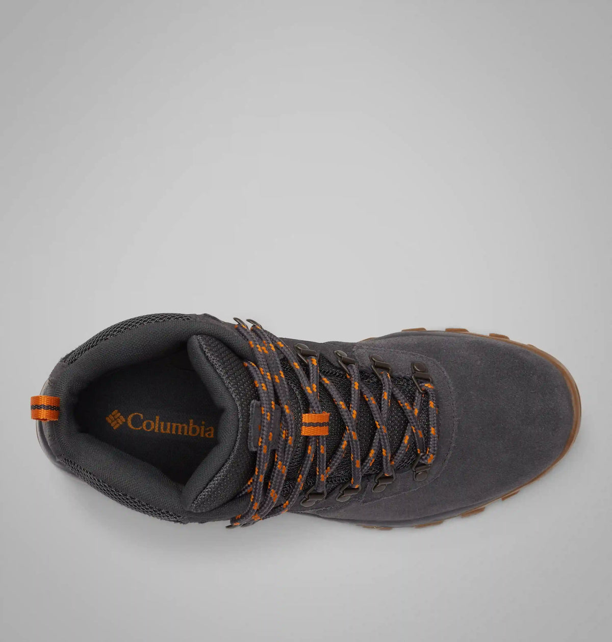 Men's Newton Ridge Plus II Suede Waterproof Hiking Boot