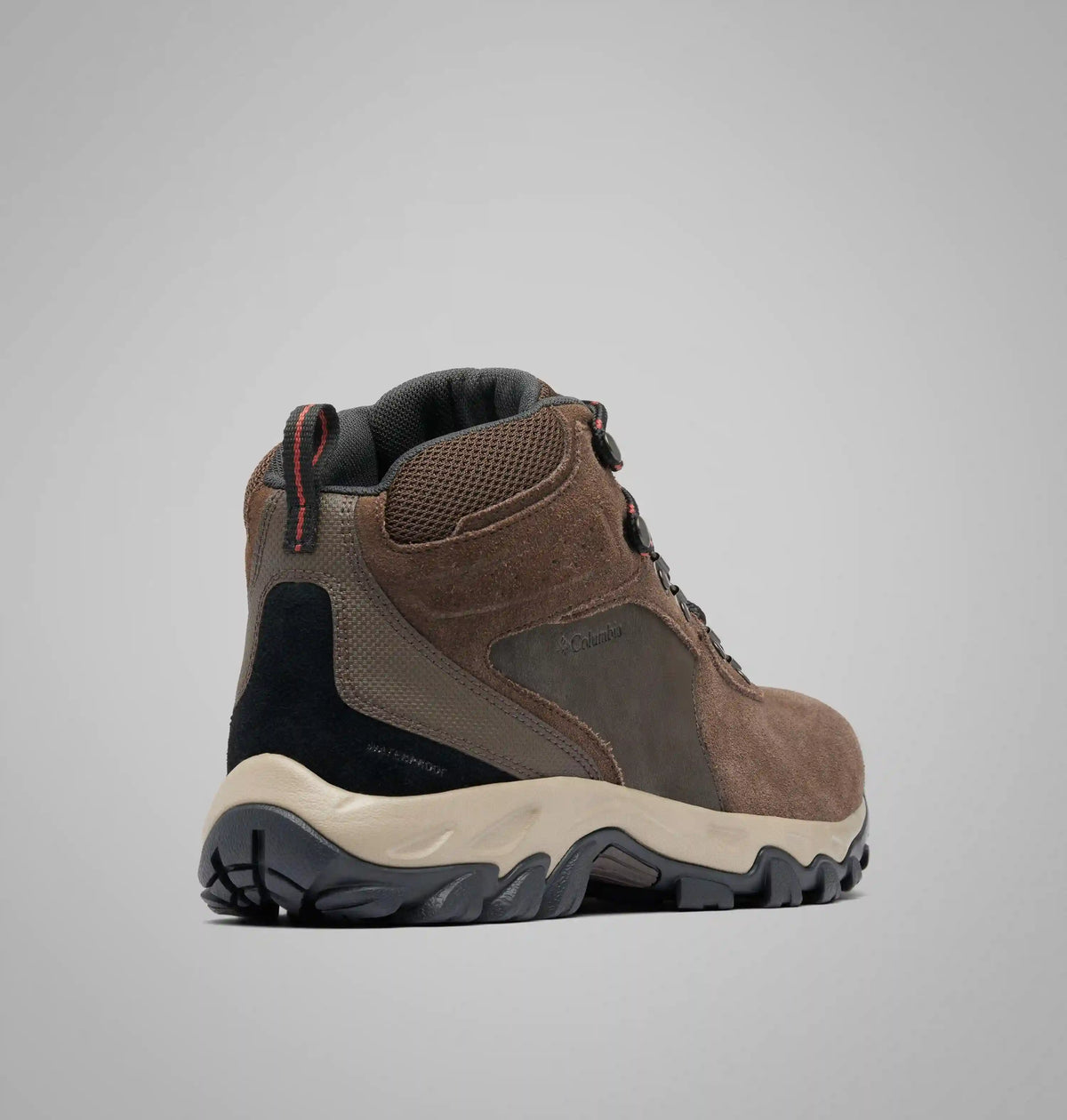 Men's Newton Ridge Plus II Suede Waterproof Hiking Boot