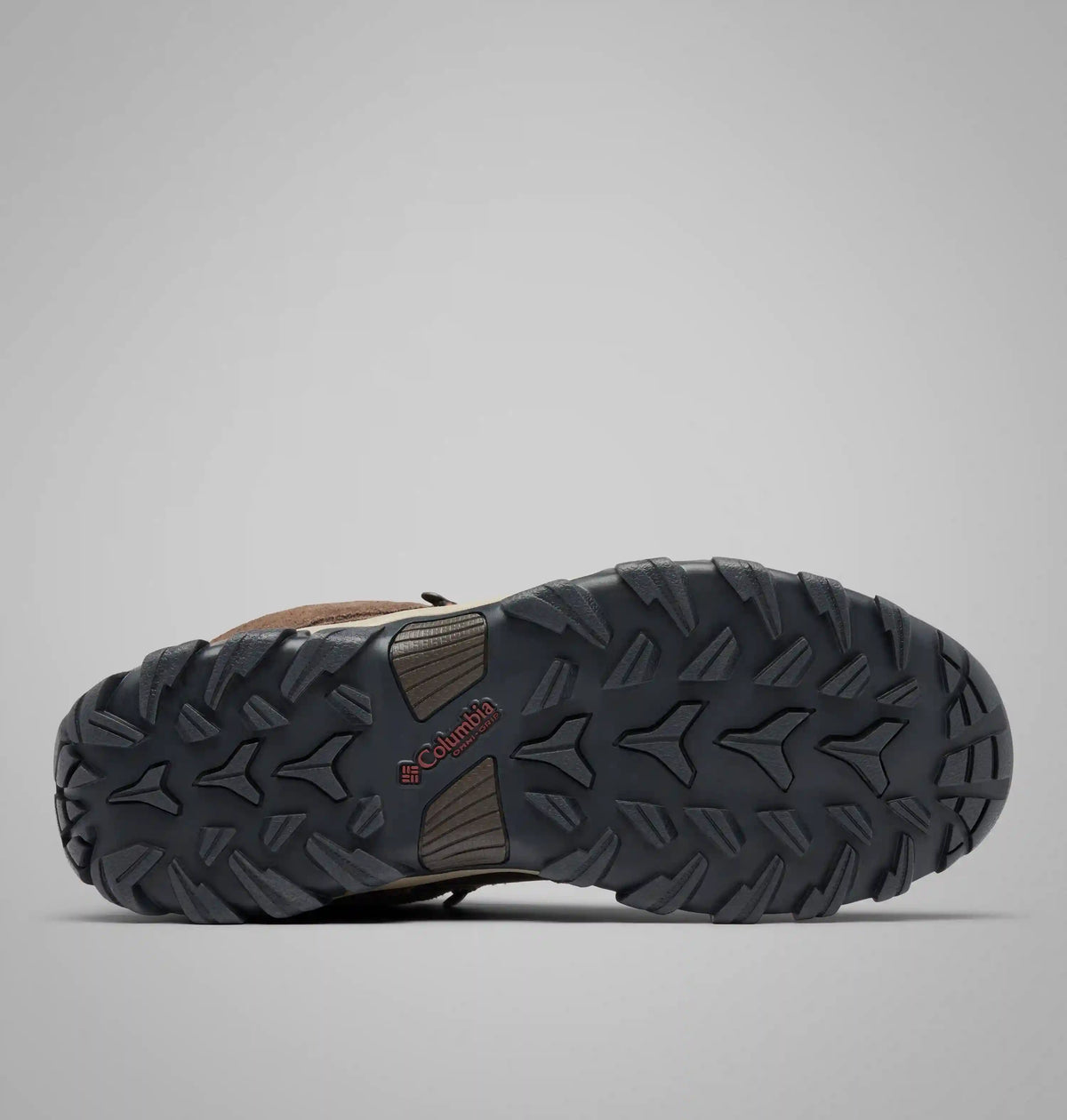 Men's Newton Ridge Plus II Suede Waterproof Hiking Boot