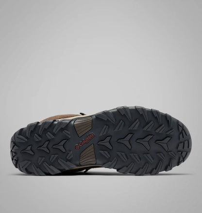 Men's Newton Ridge Plus II Suede Waterproof Hiking Boot