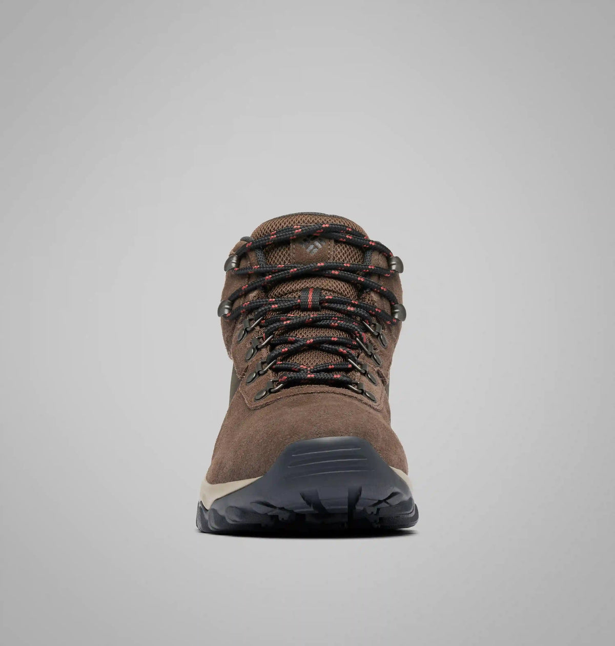 Men's Newton Ridge Plus II Suede Waterproof Hiking Boot