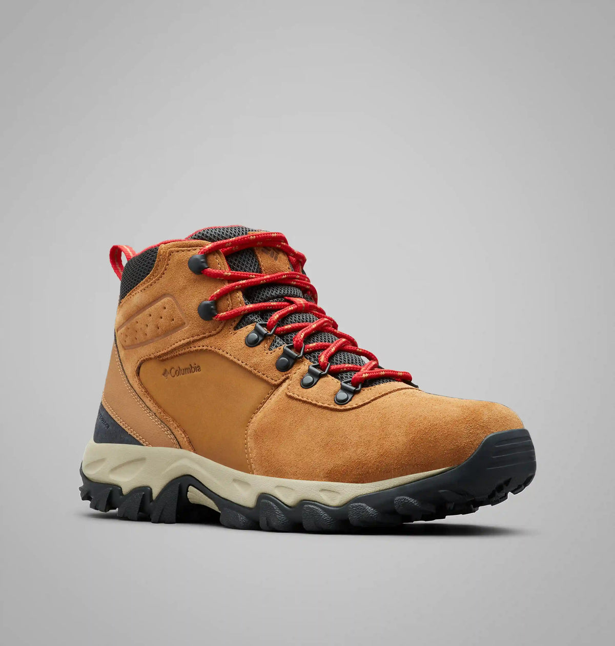 Men's Newton Ridge Plus II Suede Waterproof Hiking Boot