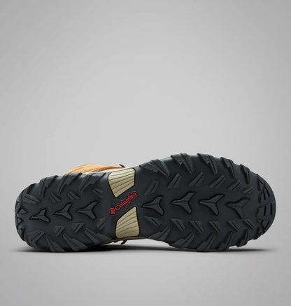 Men's Newton Ridge Plus II Suede Waterproof Hiking Boot