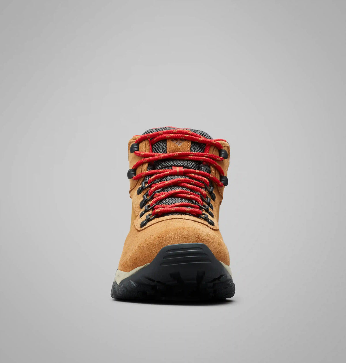 Men's Newton Ridge Plus II Suede Waterproof Hiking Boot