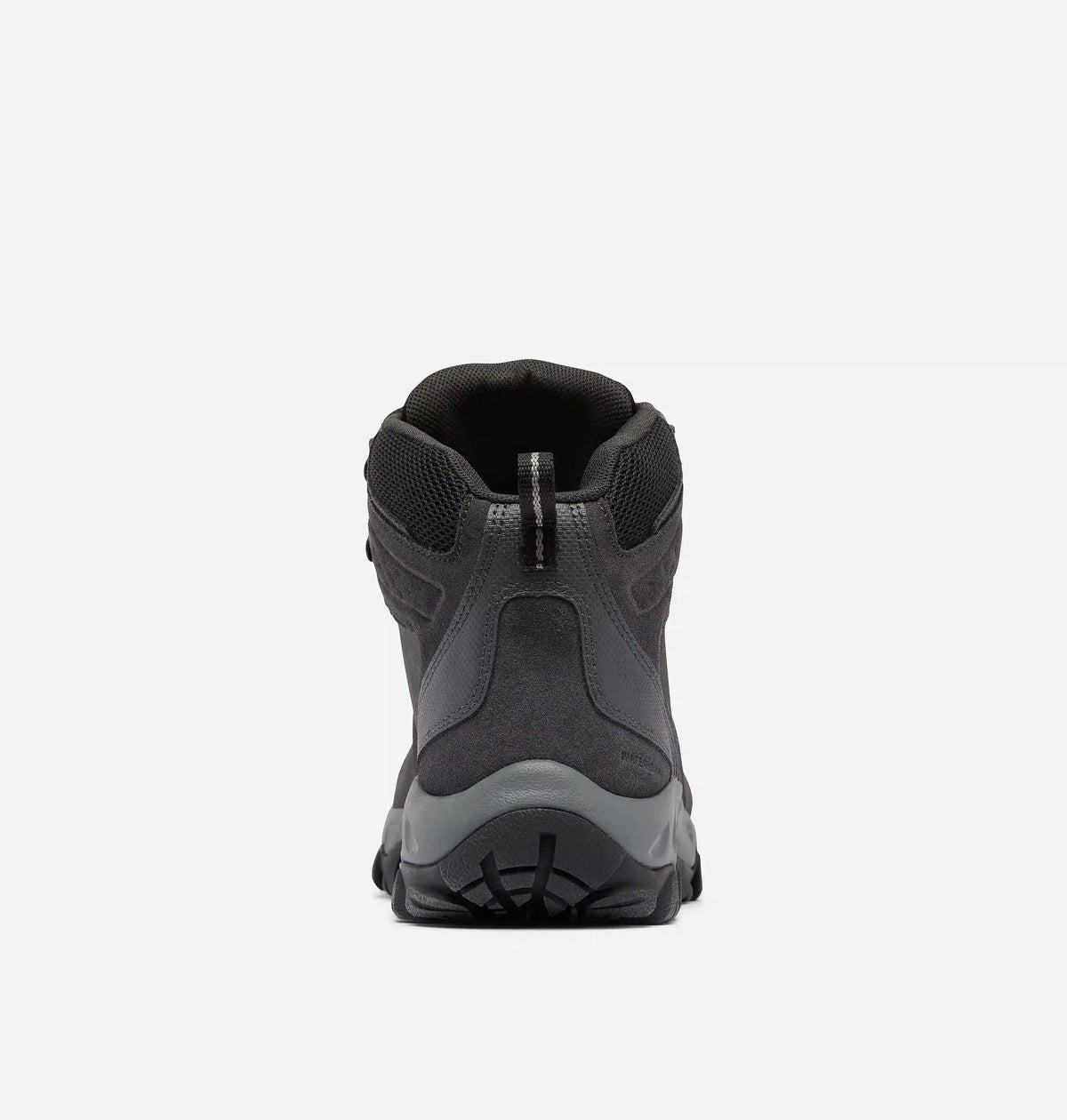 Men's Newton Ridge Plus II Suede Waterproof Hiking Boot - Wide