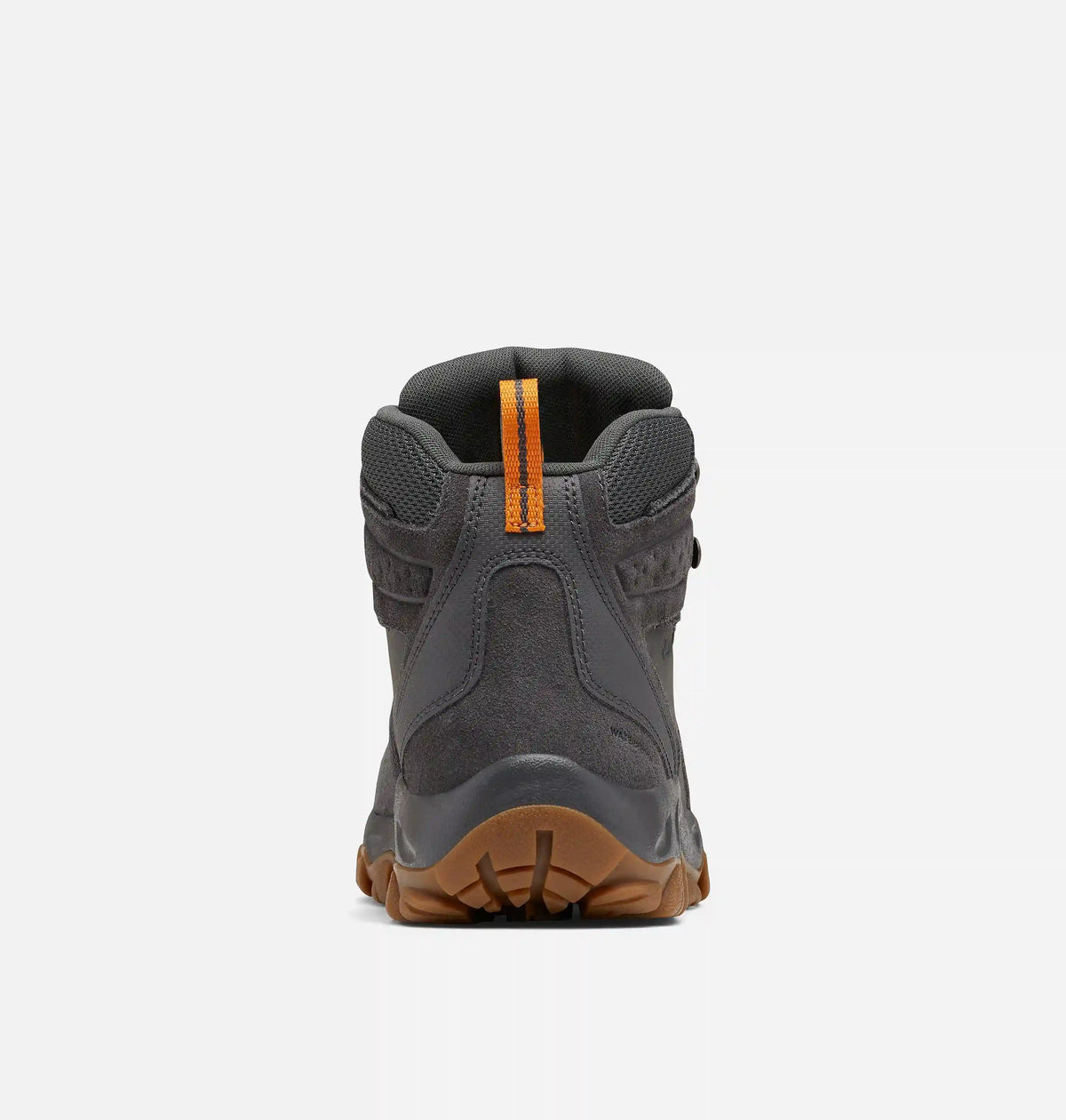 Men's Newton Ridge Plus II Suede Waterproof Hiking Boot - Wide