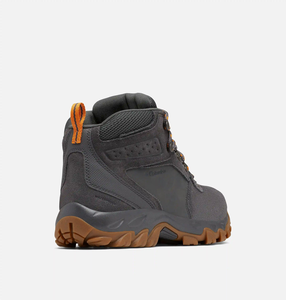 Men's Newton Ridge Plus II Suede Waterproof Hiking Boot - Wide