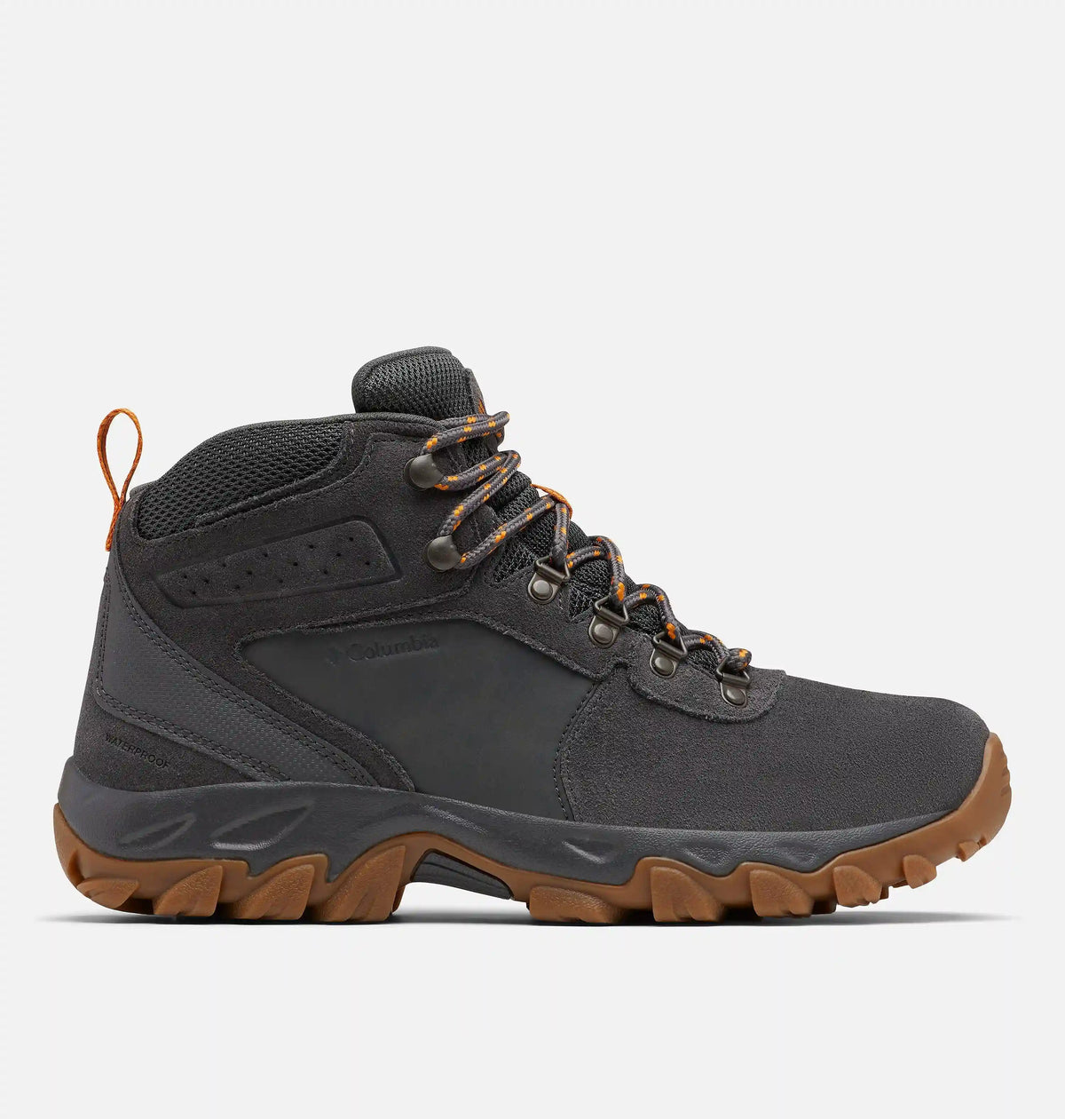 Men's Newton Ridge Plus II Suede Waterproof Hiking Boot - Wide