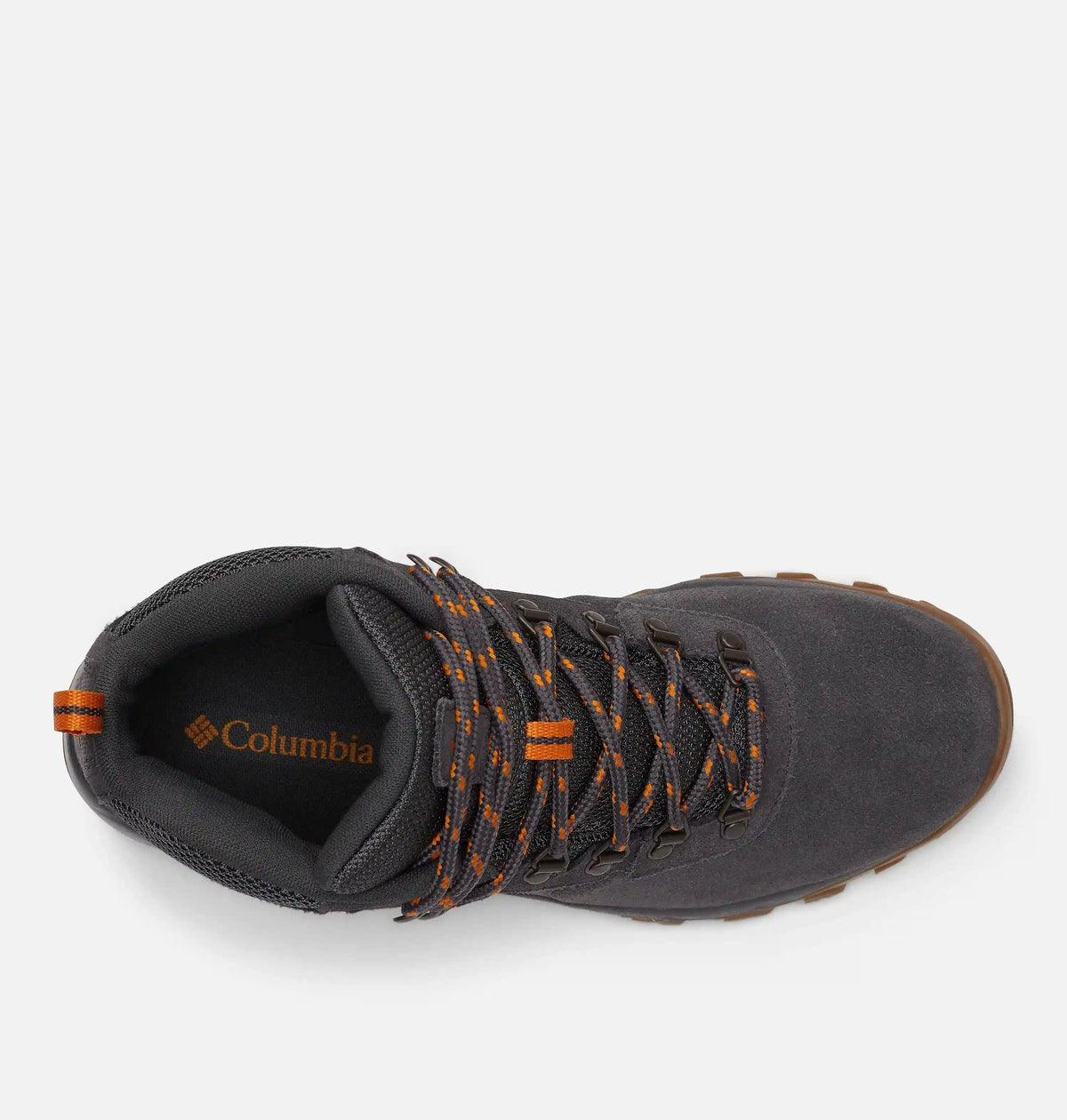 Men's Newton Ridge Plus II Suede Waterproof Hiking Boot - Wide
