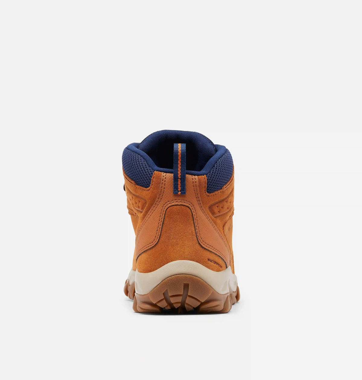 Men's Newton Ridge Plus II Suede Waterproof Hiking Boot - Wide
