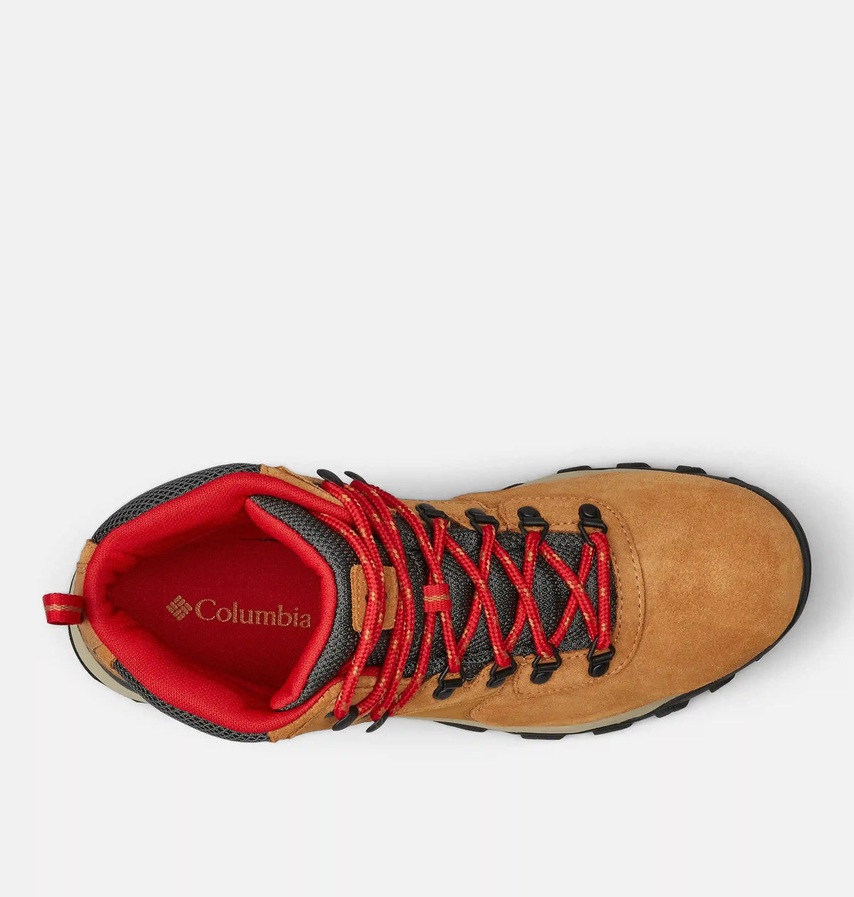 Men's Newton Ridge Plus II Suede Waterproof Hiking Boot - Wide