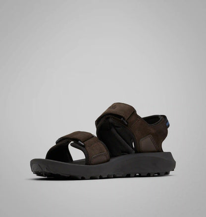 Men's Trailstorm Hiker Two Strap Sandal