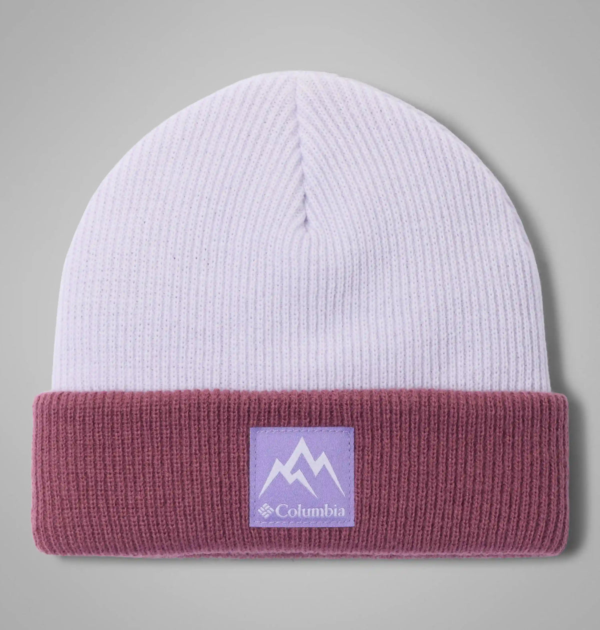 Toddler Whirlibird Cuffed Beanie