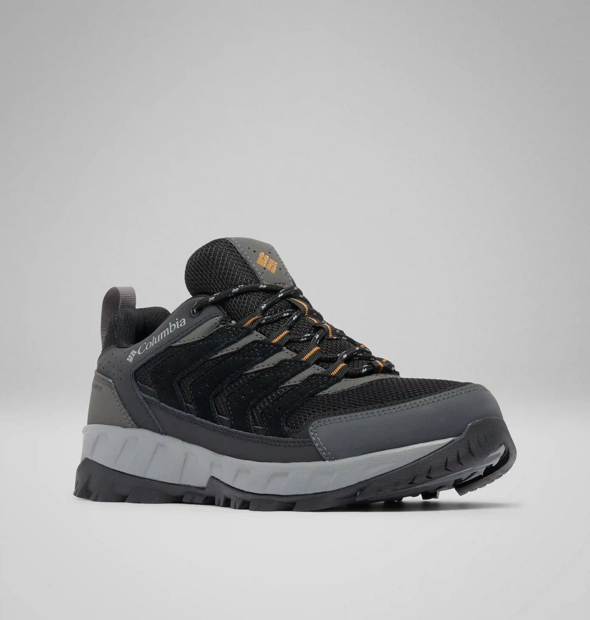 Men's Strata Trail Low Waterproof Shoe