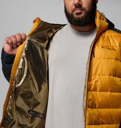 Men's Labyrinth Loop II Hooded Jacket - Big