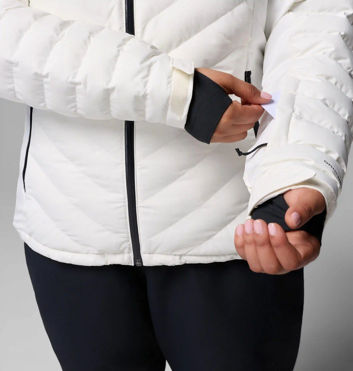 Women's Bird Mountain III Insulated Jacket - Plus Size