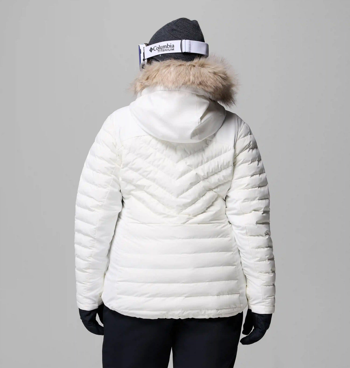 Women's Bird Mountain III Insulated Jacket - Plus Size