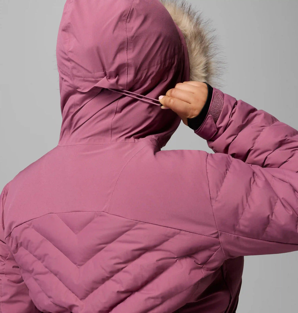 Women's Bird Mountain III Insulated Jacket - Plus Size