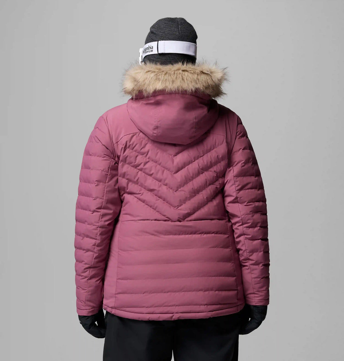 Women's Bird Mountain III Insulated Jacket - Plus Size