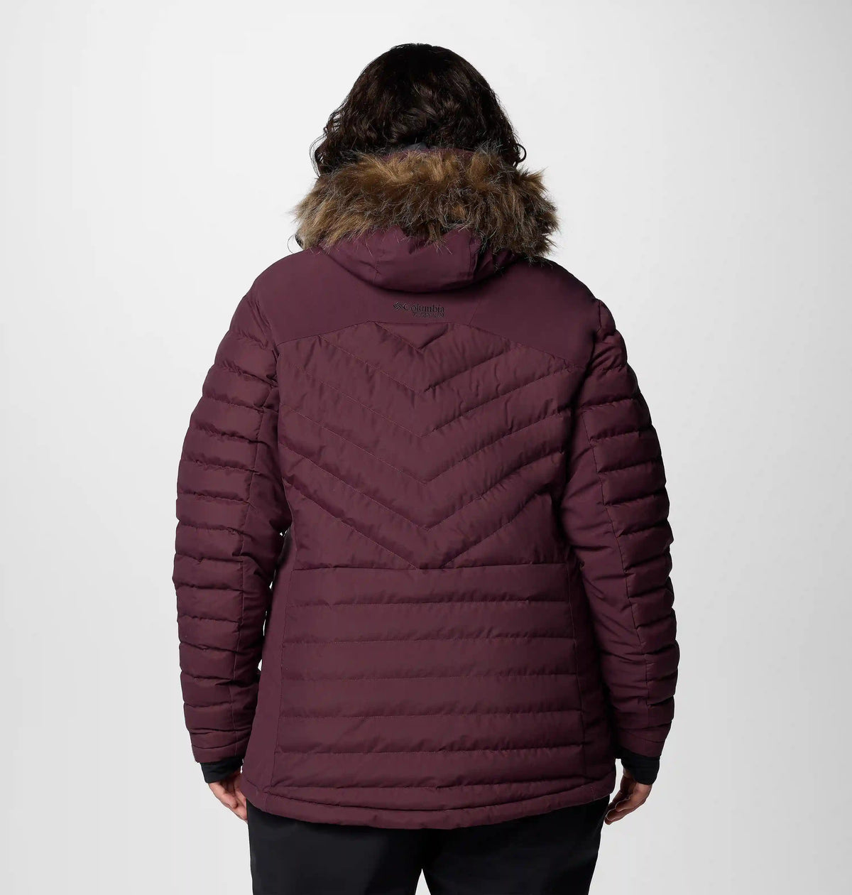 Women's Bird Mountain III Insulated Jacket - Plus Size