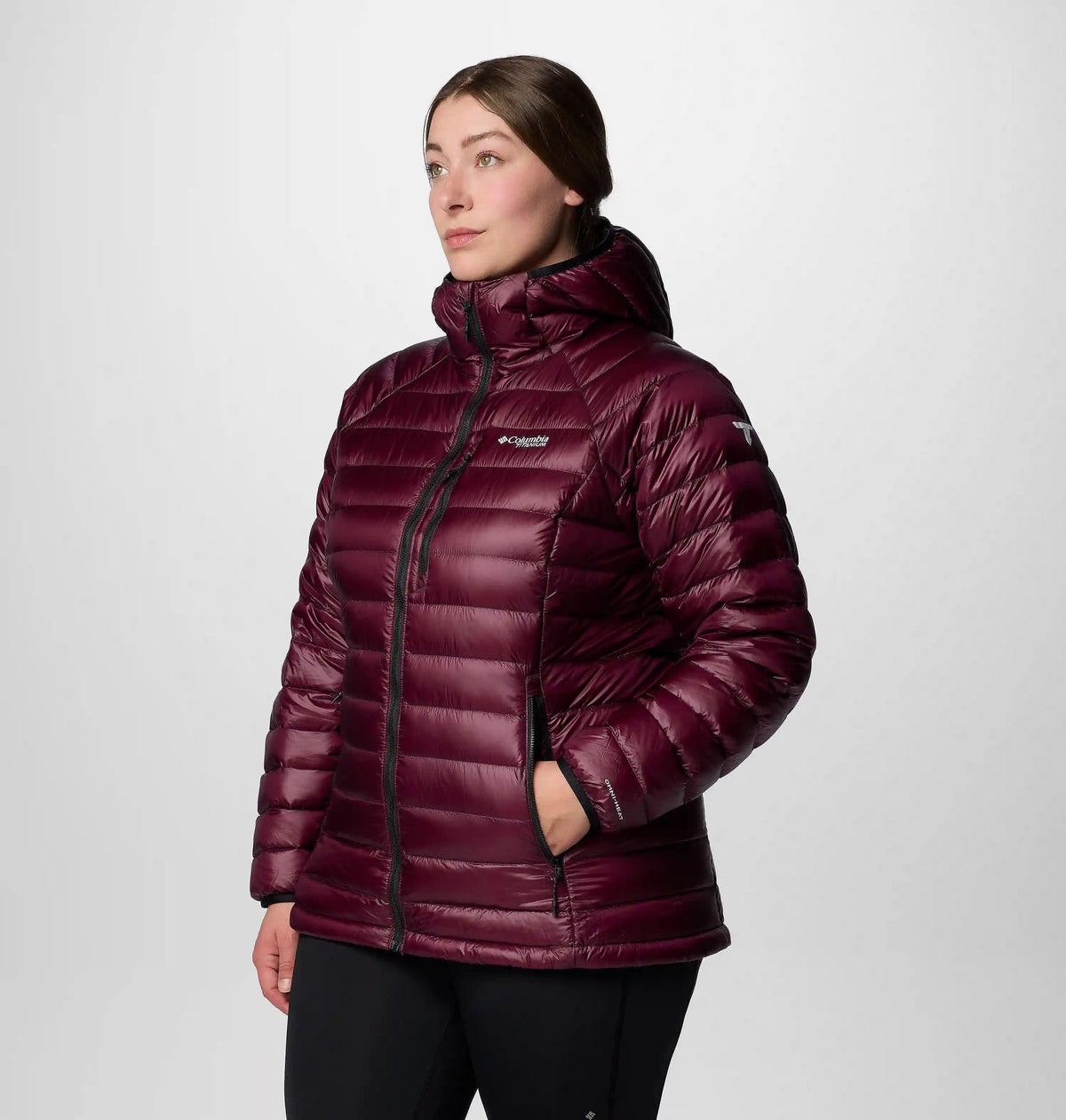 Women's Arctic Crest Down Hooded Jacket - Plus Size