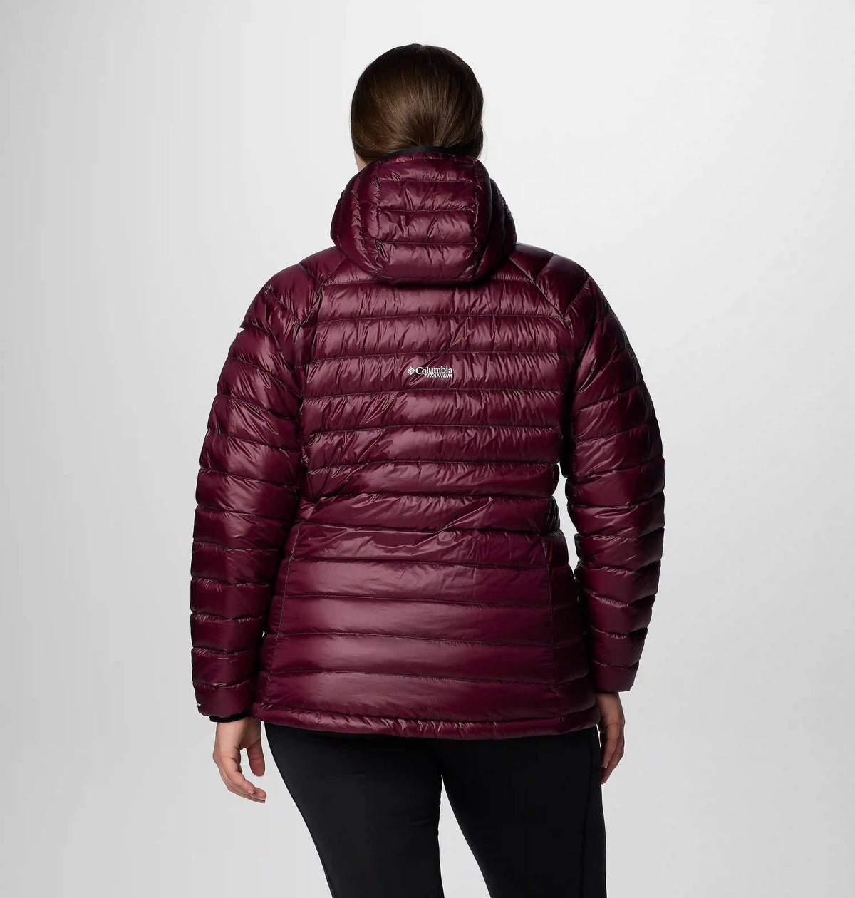 Women's Arctic Crest Down Hooded Jacket - Plus Size