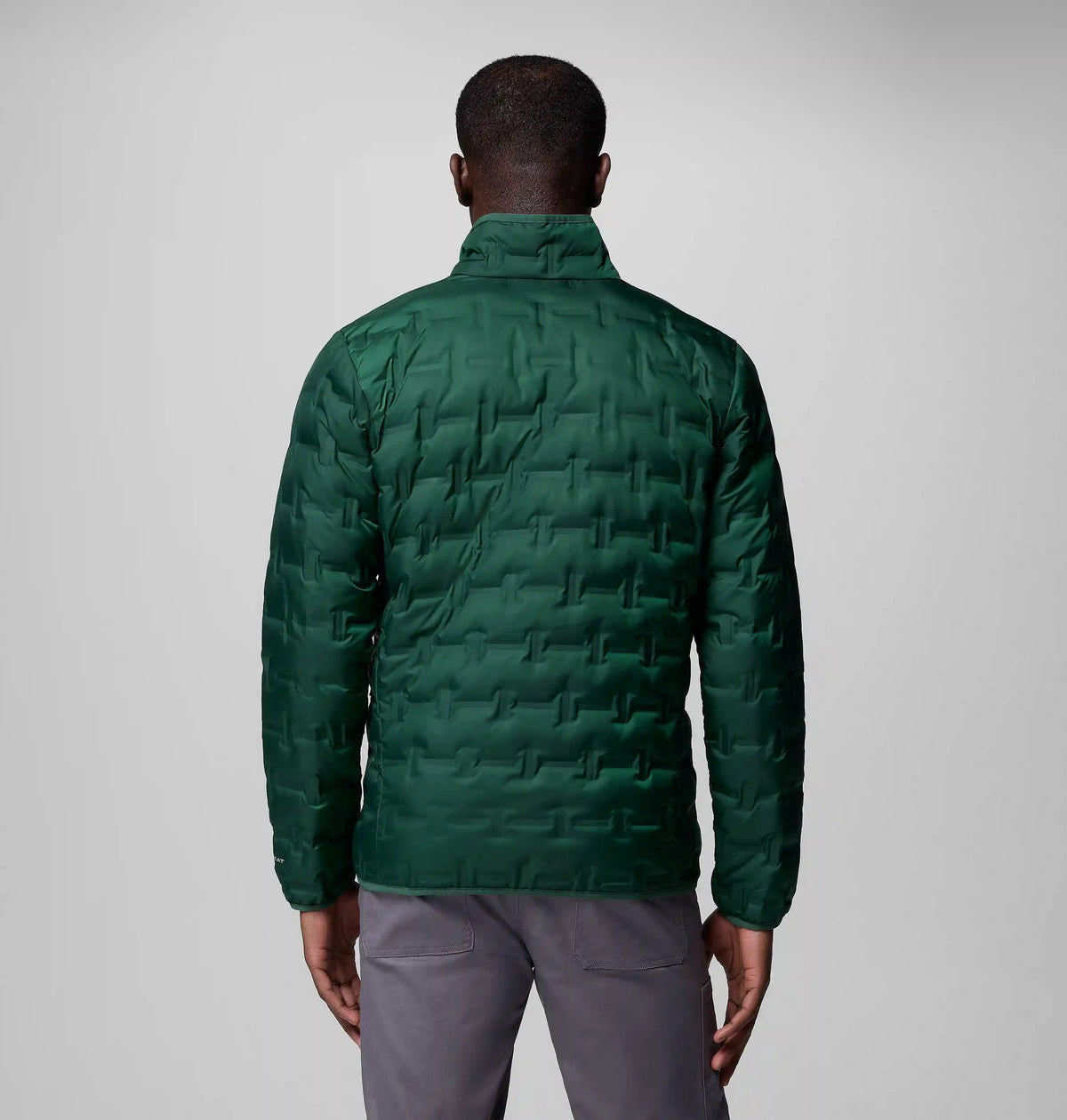Men's Delta Ridge II Down Jacket